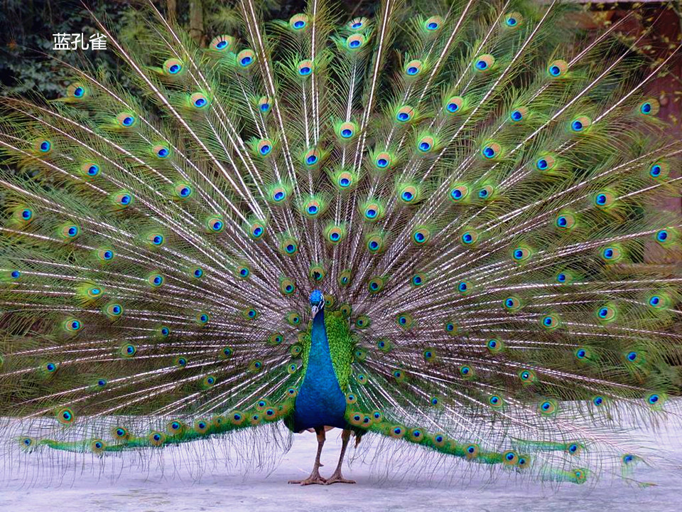 榆炼干气脱硫项目配套设施竣工‘星空综合’(图1) 星空综合