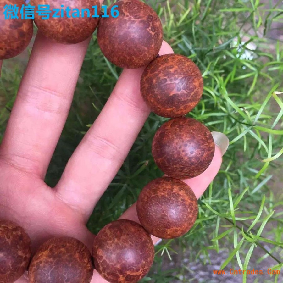 河北沧州力争打造*塑料薄膜基地‘星空综合’(图1) 星空综合