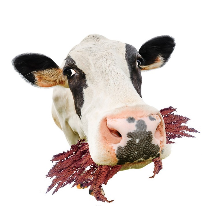 星空综合_商务部召开生产资料流通行业发展年度形势分析会(图1) 星空·综合体育