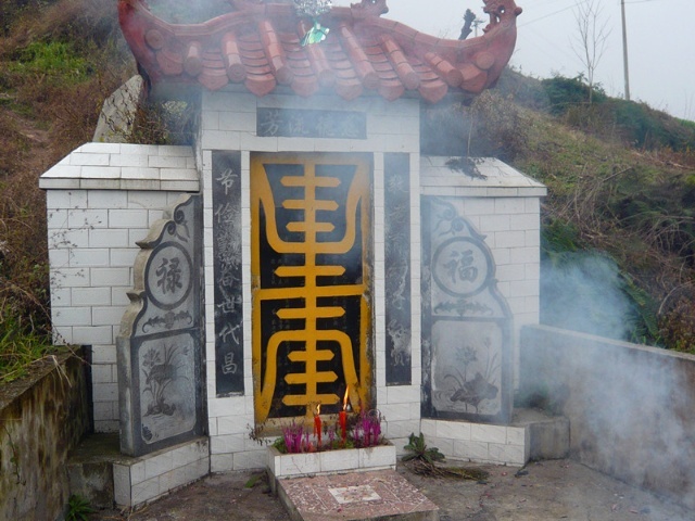 星空·综合体育-木材价格持续上涨 山东成市场价格竞争重灾区(图3) 星空·综合体育