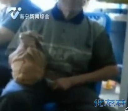 星空·综合体育