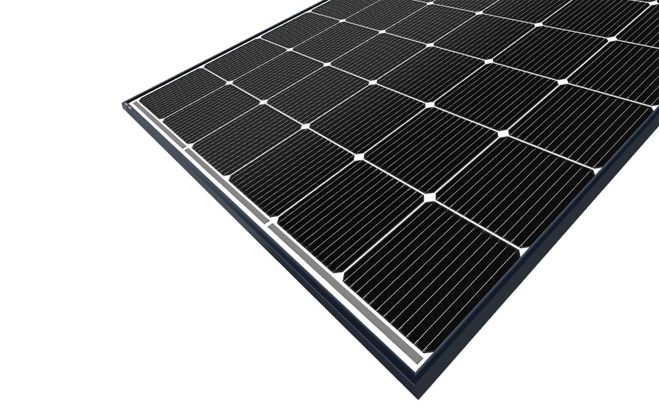 星空·综合体育