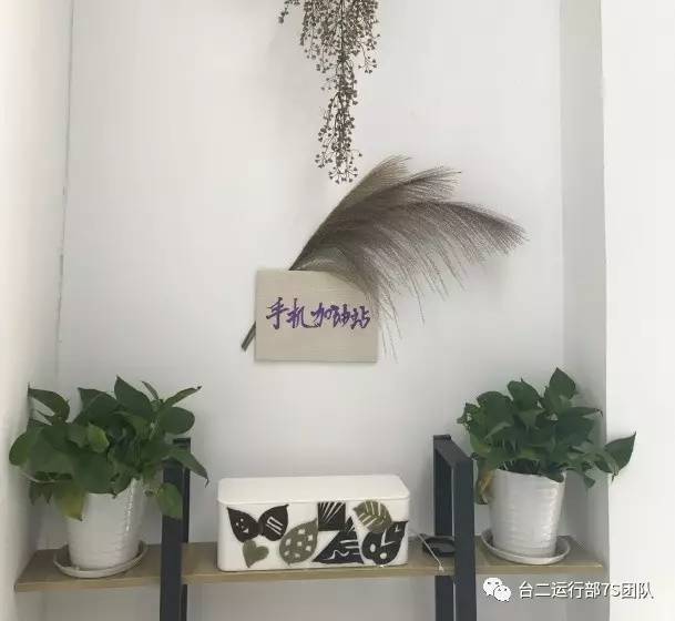 星空综合:中甲概述:青岛上演大逆转 扎尔杀了沈心(图1) 星空·综合体育