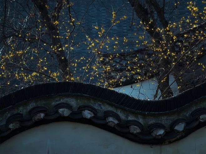 星空·综合体育