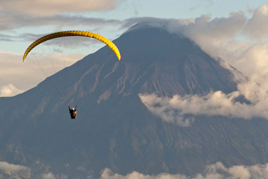鱼珠木材市场:市场近期木皮价格行情平稳:星空·综合体育(图2) 星空综合