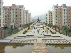 “星空综合”指接板厂家生产谨慎(图4) 星空综合