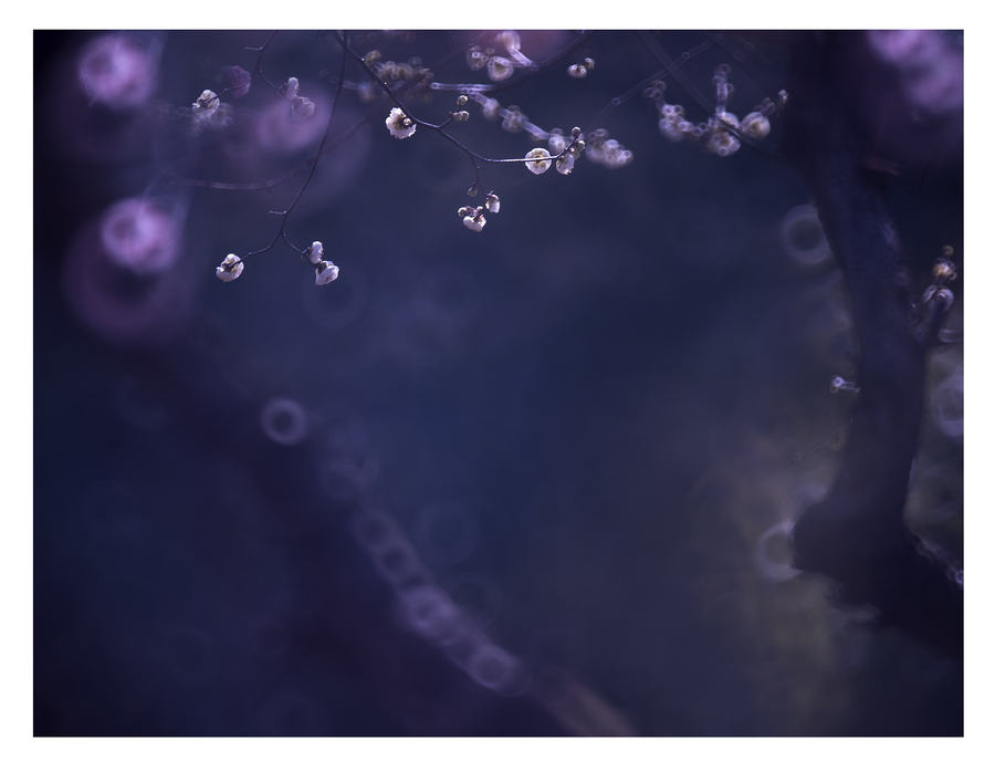 人造板指数:胶合板高位调整中纤板行情回落-星空·综合体育(图2) 星空综合