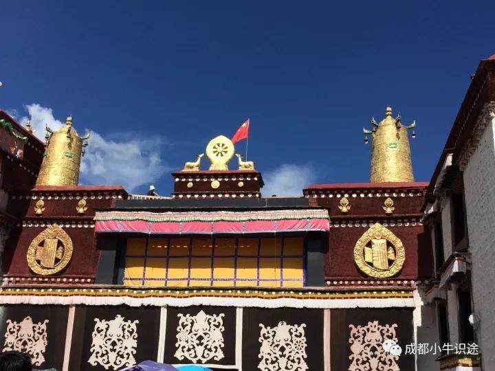 (06月25日)江苏省煤炭及煤化工质检中心开展煤炭采制化检测技能培训|星空·综合体育(图4) 星空综合