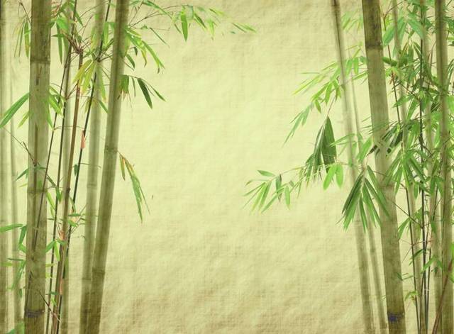 我国前三季度林业产业总产值超5万亿‘星空·综合体育’(图1) 星空·综合体育