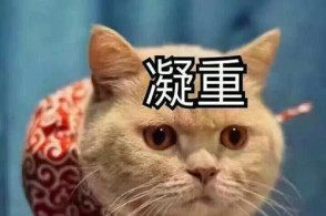 星空·综合体育