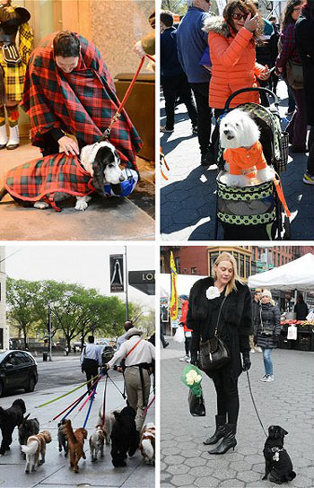 星空·综合体育