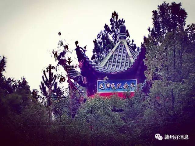 【星空·综合体育】绿城发公告投诉裁判:与亚泰一战存多次争议判罚(图1) 星空综合